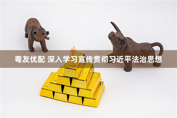 粤友优配 深入学习宣传贯彻习近平法治思想